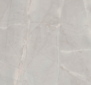 S63053 VV ������ ������� 4100�600�38�� PFLEIDERER (26764)